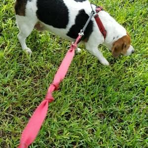 Meet your Posher, Wilfredo